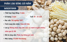 ĐƠN HÀNG PHÂN LOẠI ĐÓNG GÓI NẤM - WAKAYAMA